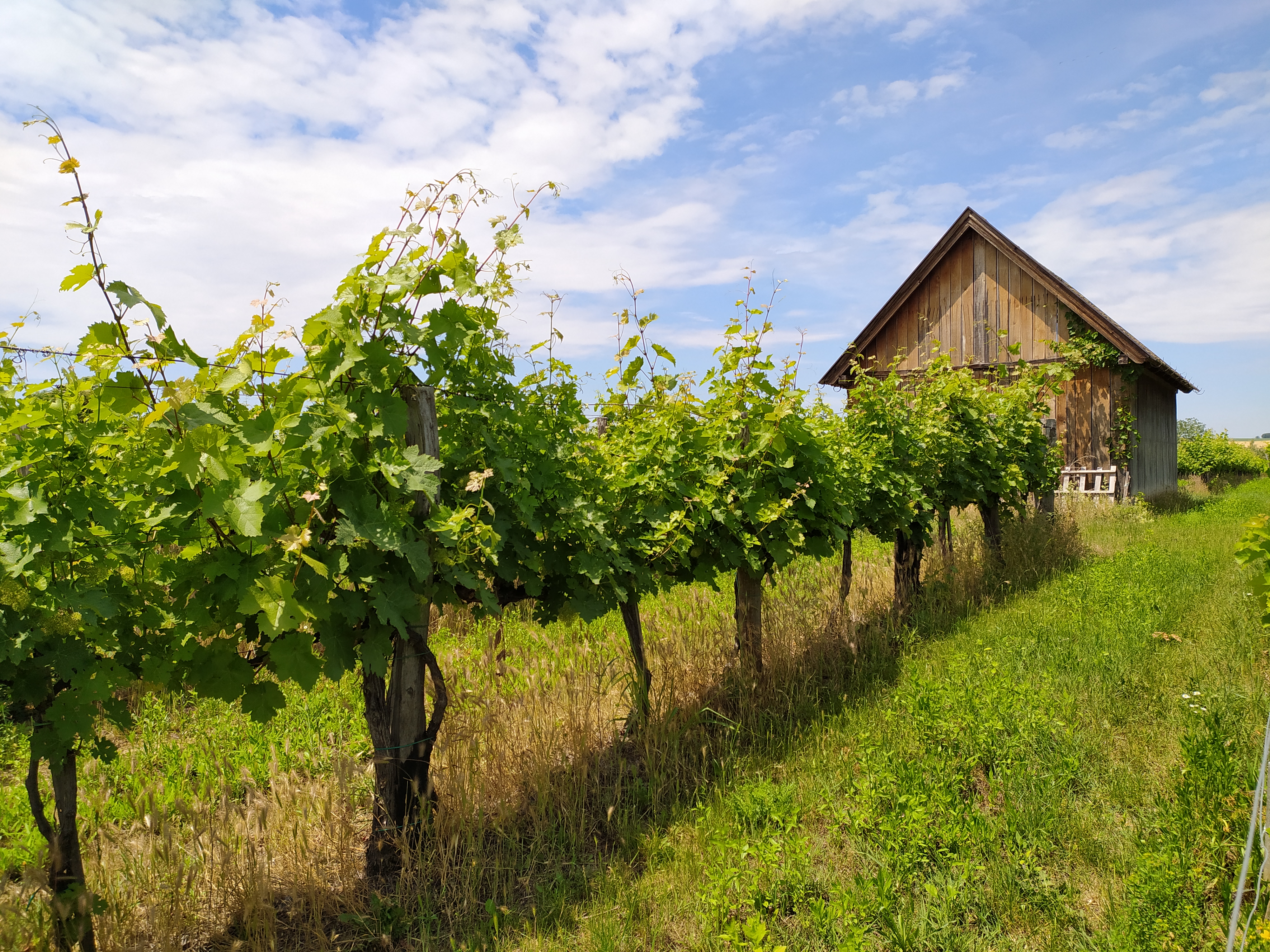 Youth-workers-and-educators-training-outdoor-experiential-learning-for-beginners-blog-by-piia pilt