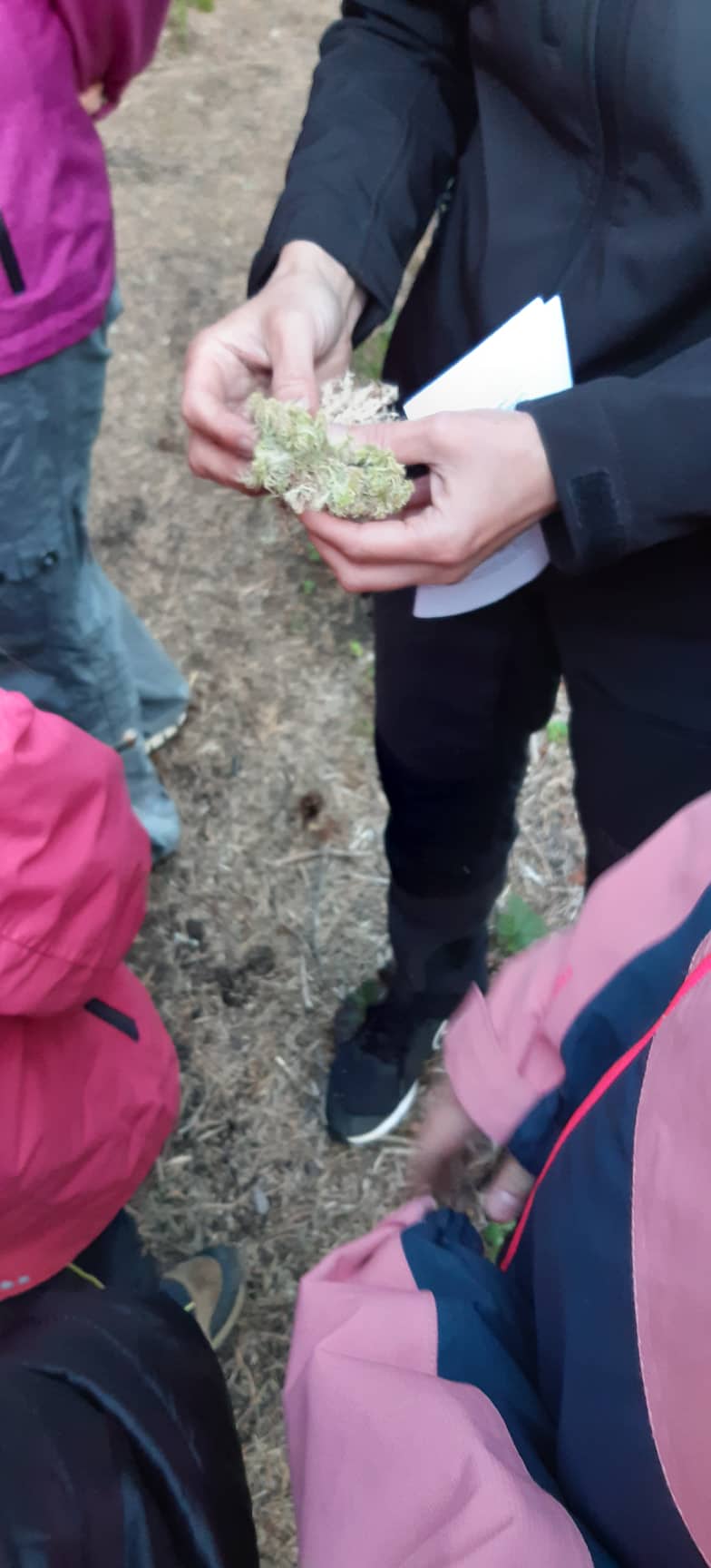 Youth-workers-and-educators-training-outdoor-experiential-learning-for-beginners-blog-by-heli pilt