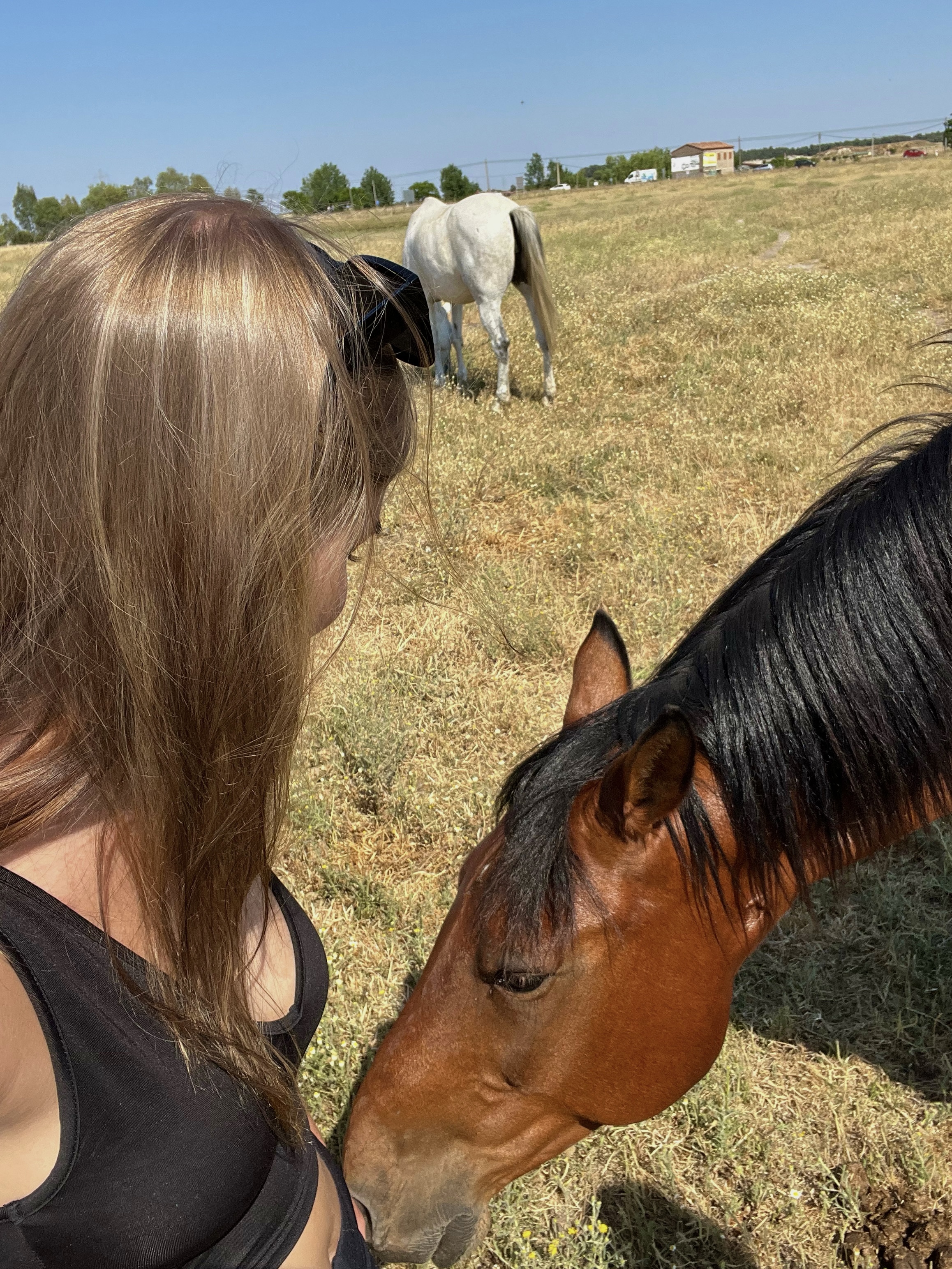 Youth-exchange-blog-equestrian-tourism-in-spain-by-mette pilt