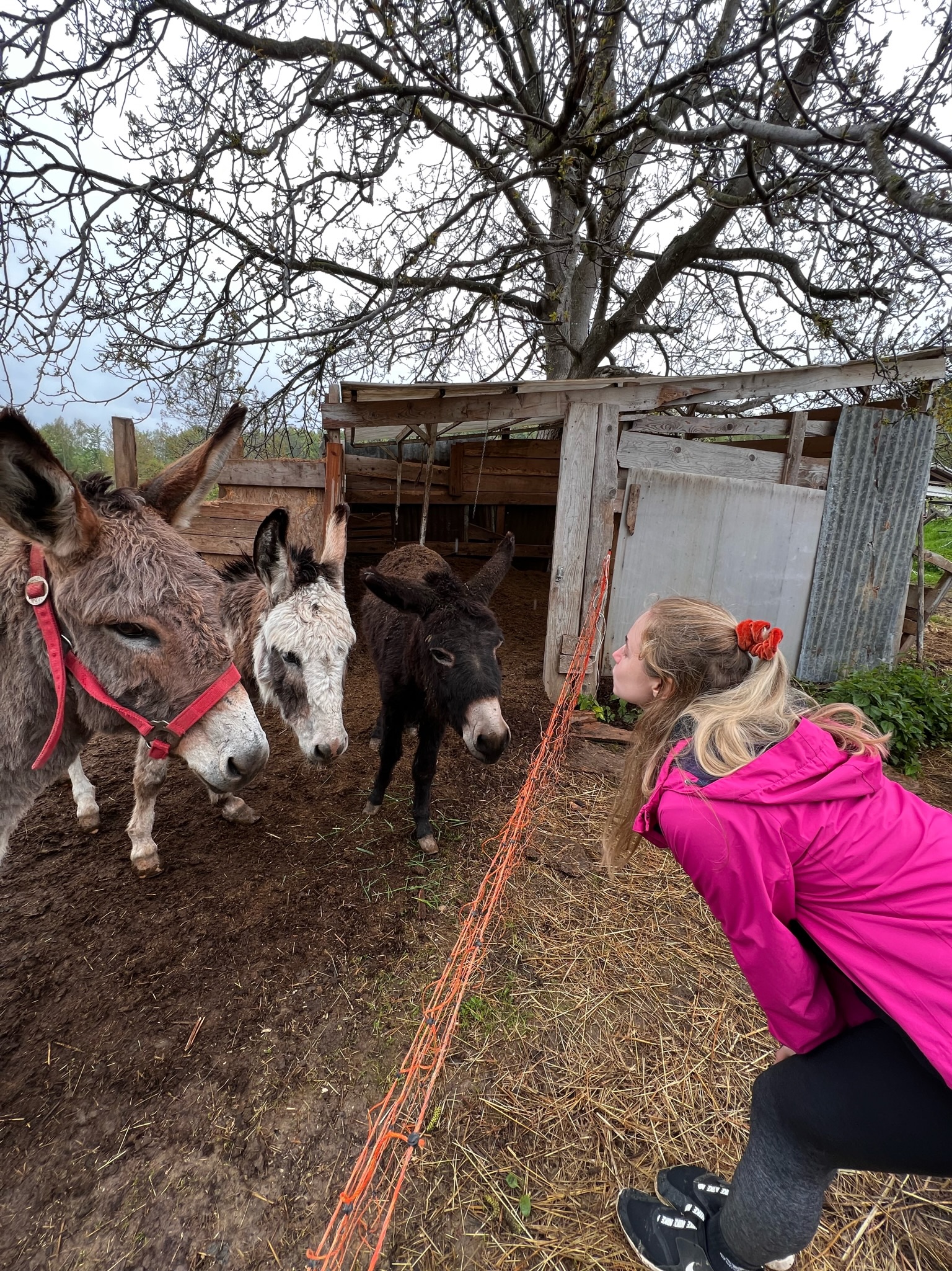 Youth-exchange-blog-eat-green-linda pilt