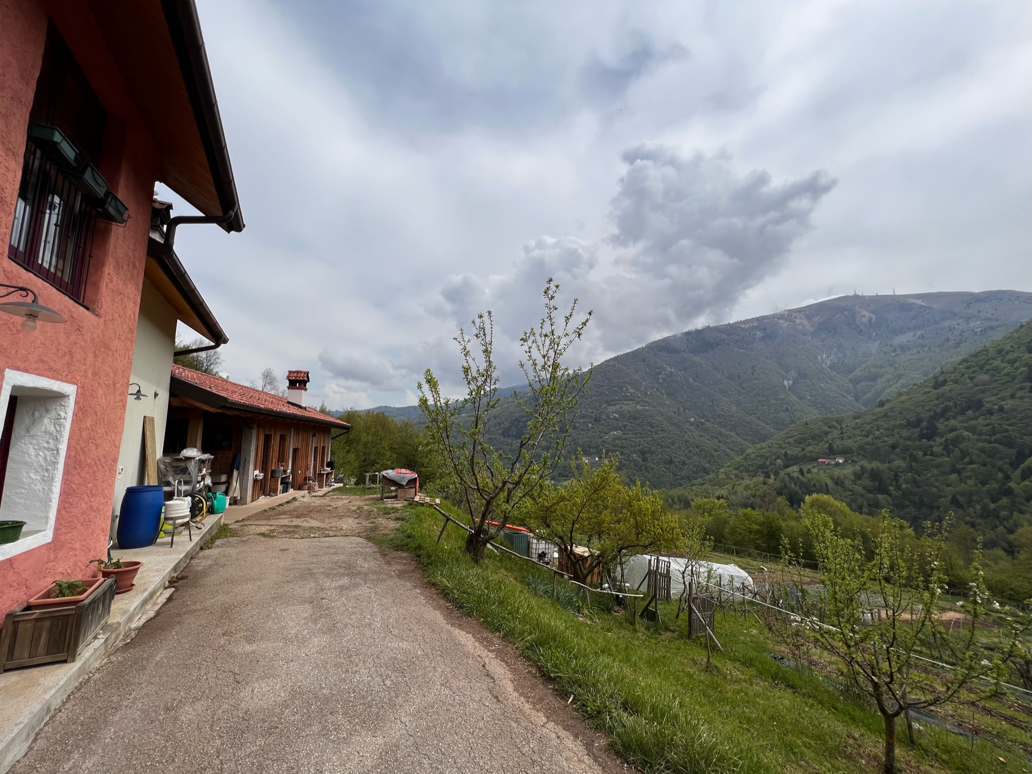 Youth-exchange-blog-eat-green-tom pilt